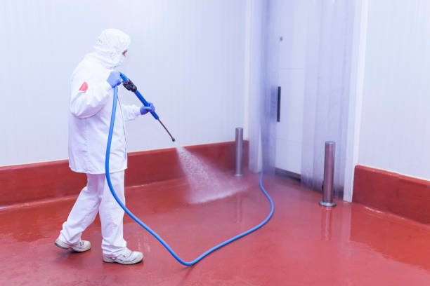 Best Dumpster Area Cleaning  in Mount Airy, MD